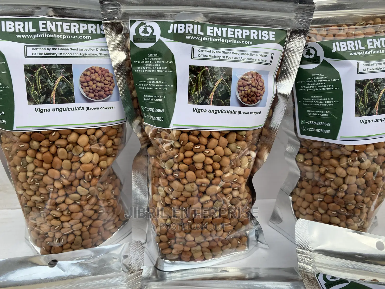 African Brown Cowpea