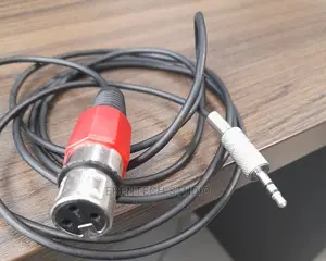 XLR to Mini Jack Cable