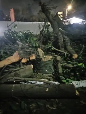 Chain Saw Operation