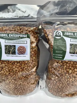 African Brown Cowpea