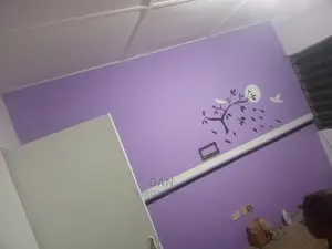 Painter Services