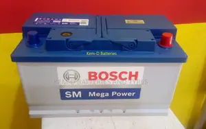 100ah 12V 19 Plates Bosch Battery + Free Battery Delivery