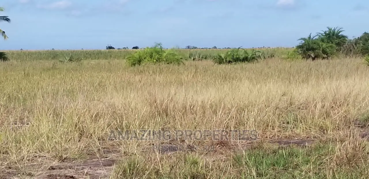 5.2 Acres of Land Available for Sale at East Airport