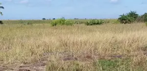 5.2 Acres of Land Available for Sale at East Airport