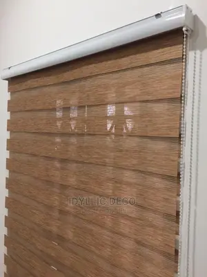Nicely Designed Blinds Curtains