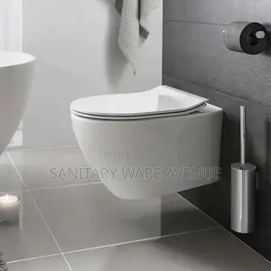 Concealed Wall Mounted Water Closet - Hanging WC