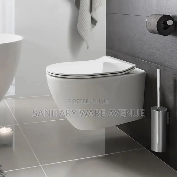 Concealed Wall Mounted Water Closet - Hanging WC