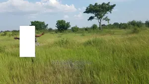 Farm Lands for Sale at KOMENDA