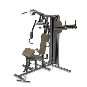 Gym 3-Station for All Workout