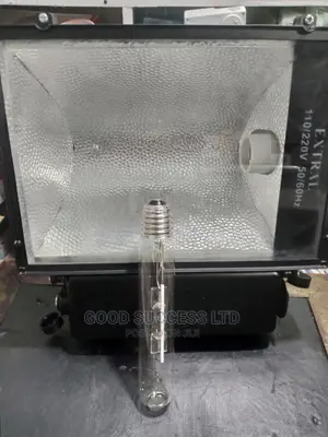 250/500w Street Light