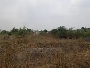100 Acres of Land at Trasacco Valley