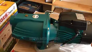 2hp Leo Water Pump