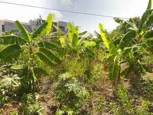 14acres of Land at a Very Good Location in Amrahia