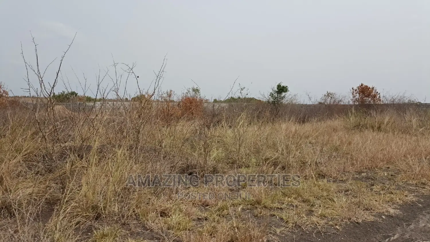 10plots of Land Available for Sale at Ayi Mensah Hills