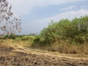 11 Acres of Roadside Land at Kpone Barrier