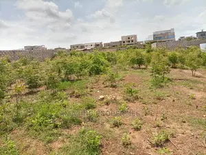 100x80 Plot of Land for Sale at Tema Com 12