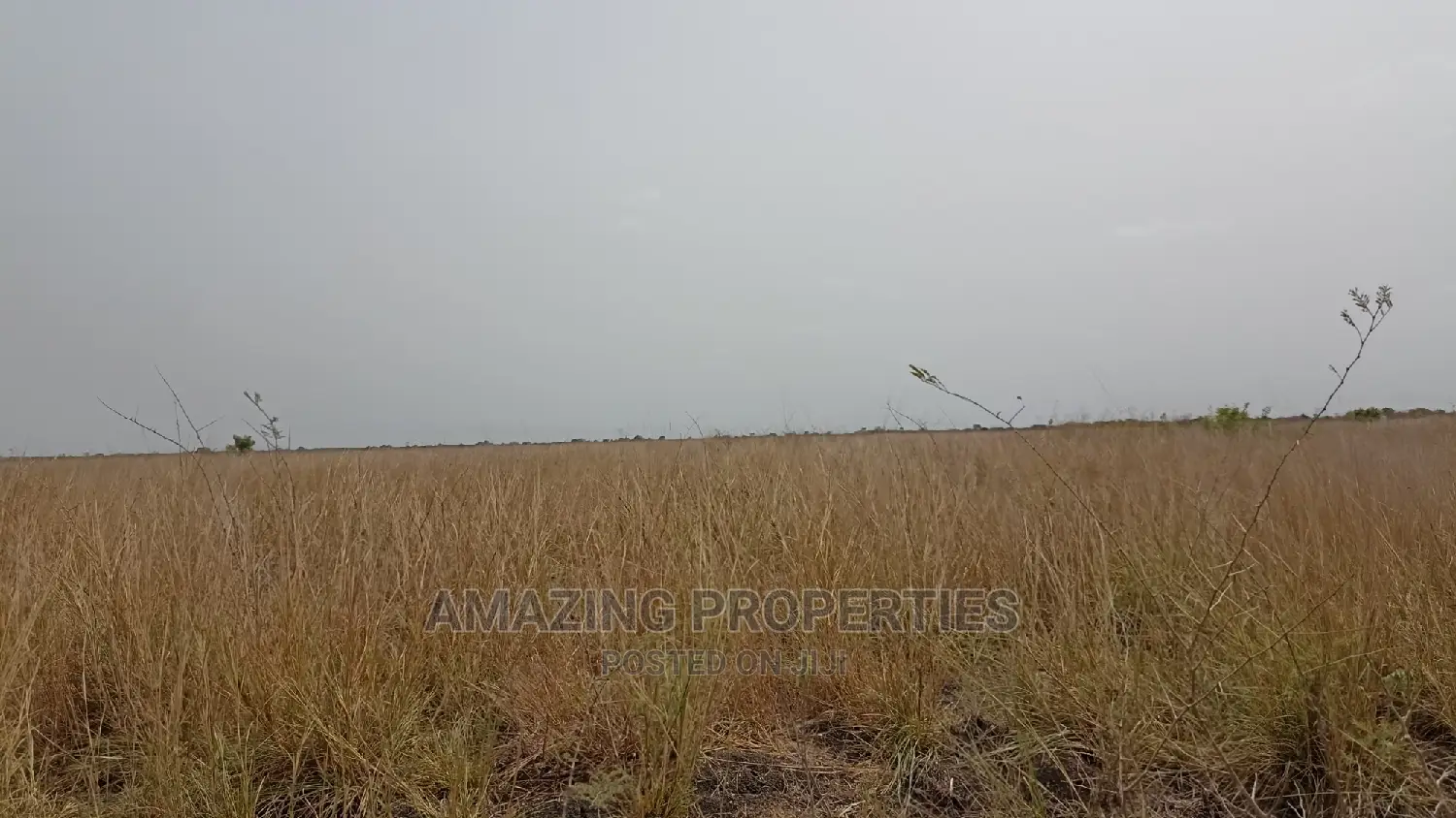 20 Acre of Government for Sale Achimota Forest Gimpa School