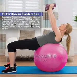 Massage / Yoga Ball 65cm