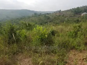 2000 Acres of Land at Ayikuma Dodowa