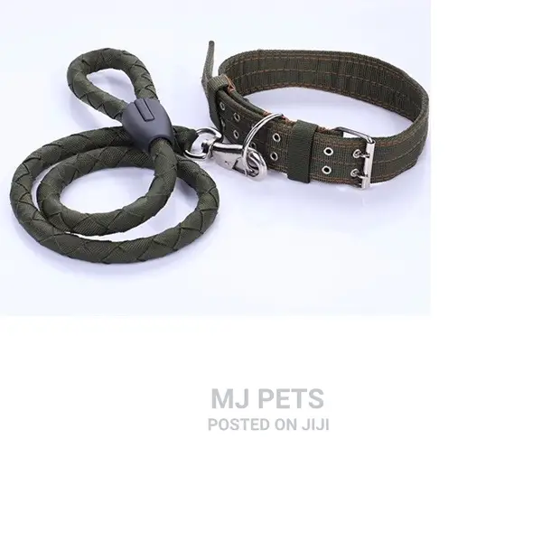 Round Leash Harness for Big Dogs