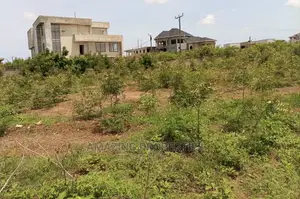 150 Acres of Land East Legon Hills(Regimanuel)