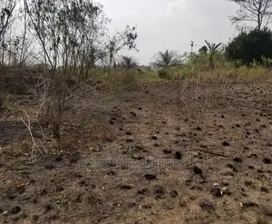 220 Acres of Land at Trassaco