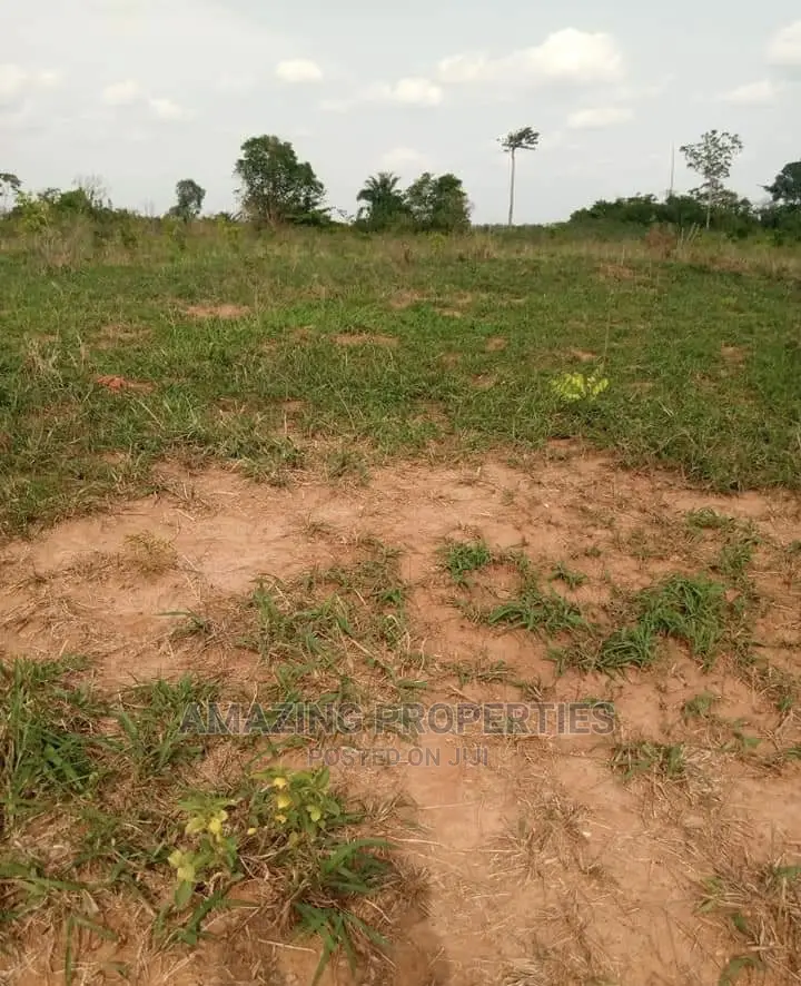 1 Plot of Land for Sale at Adjiriganor