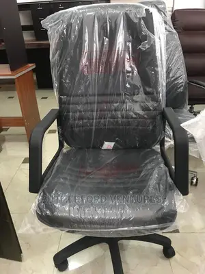Orthopedic Leather Chair