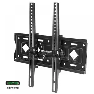 Safe Sturdy Tilting Adjustable Wall Mount