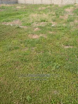 Acre of Land for Sale at Tesano
