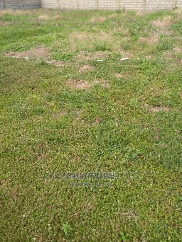 Acre of Land for Sale at Tesano