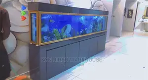 Aquarium With Live Fishes 10 Feet Tempered Glass