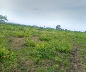 1 Acre of Land at Tema C9