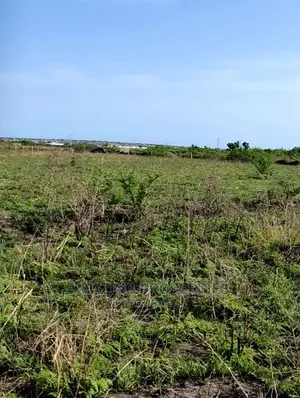 20,000acres of Land for Sale Aflao High Way Tsopoli - Dawa.