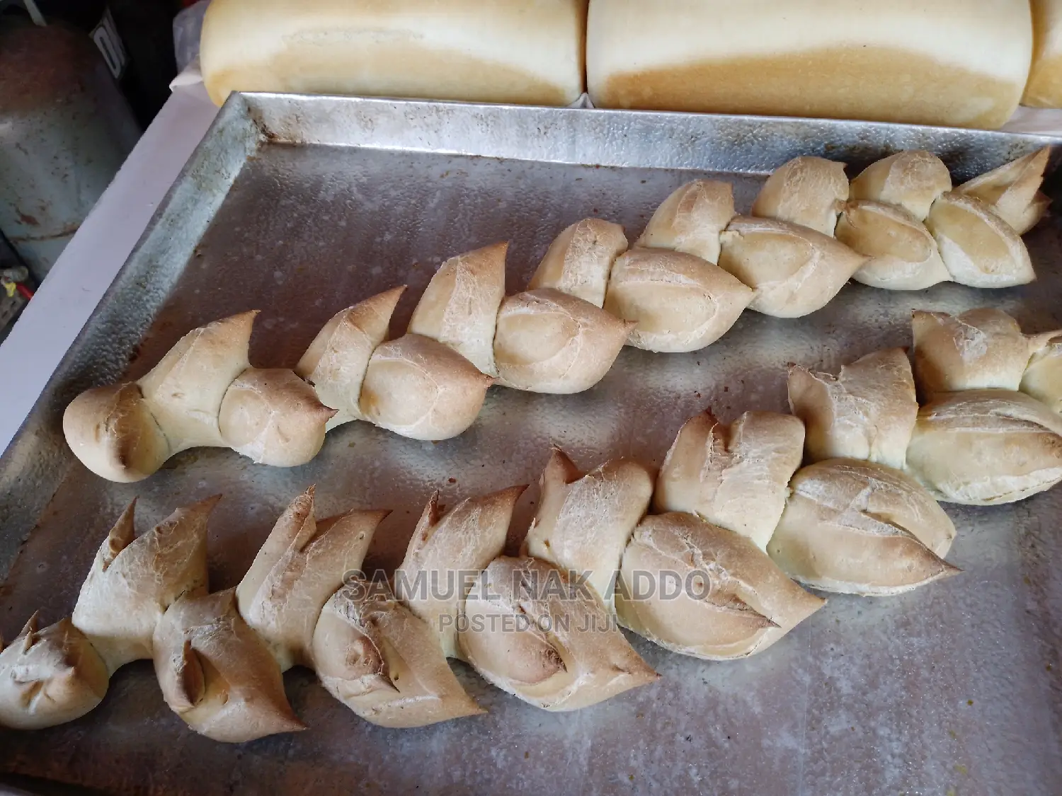 Do You Wish to Learn Baking of Bread, Pies and More