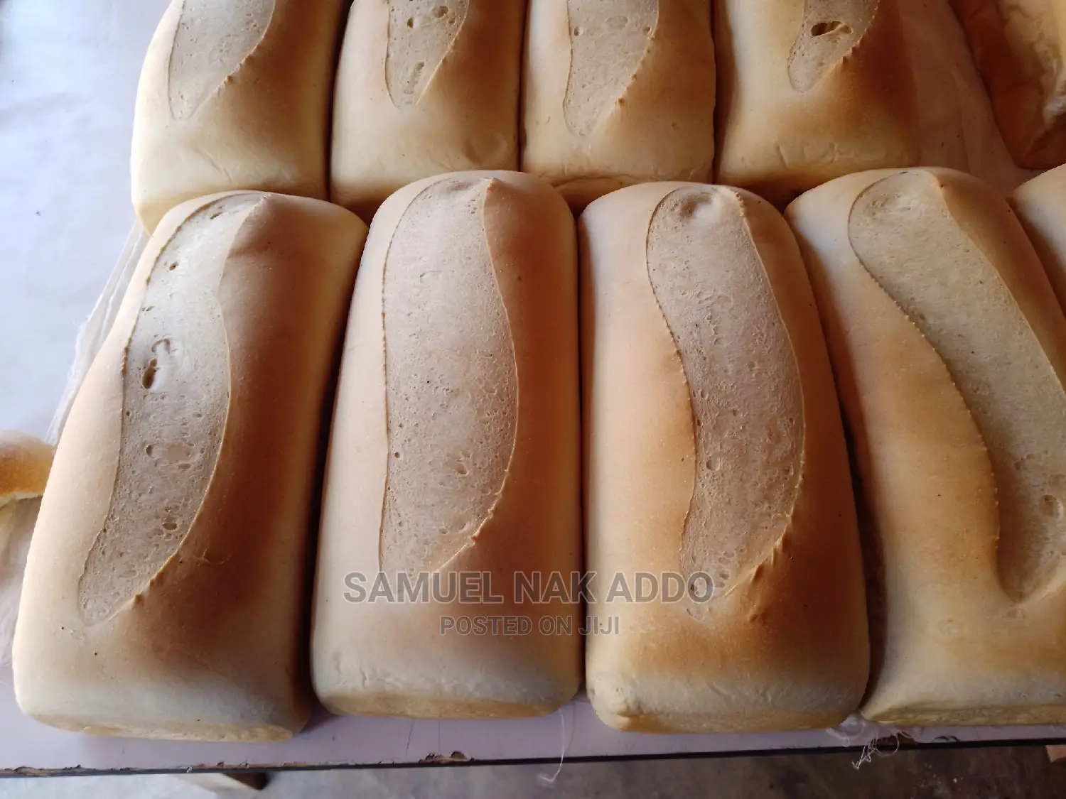 Do You Wish to Learn Baking of Bread, Pies and More
