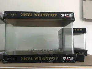 Glass Aquarium