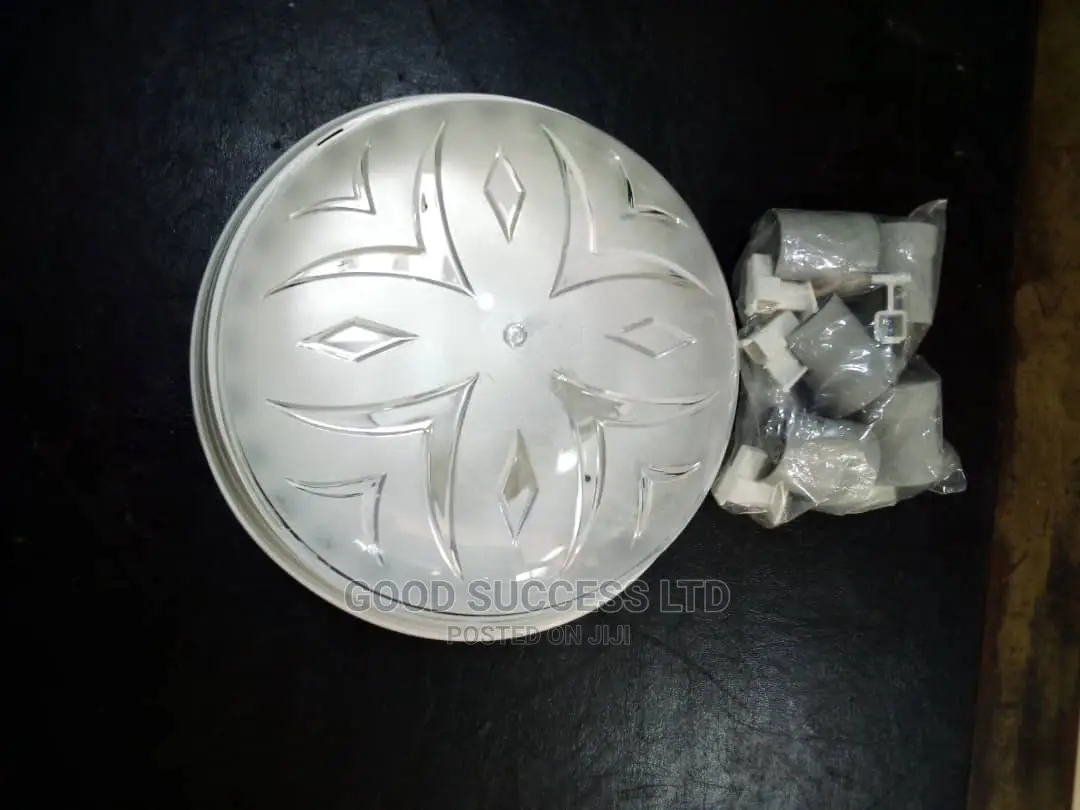 Plastic Globe Ceiling Light.