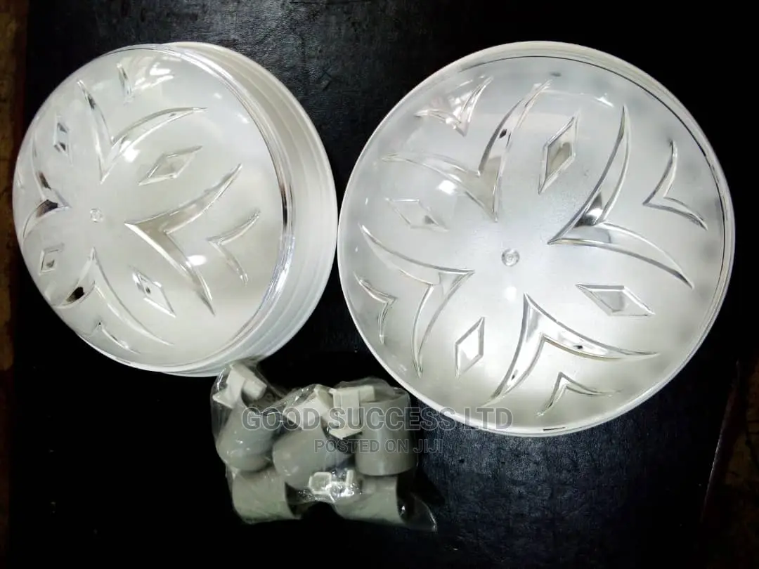 Plastic Globe Ceiling Light.