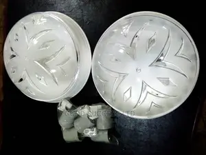 Plastic Globe Ceiling Light.