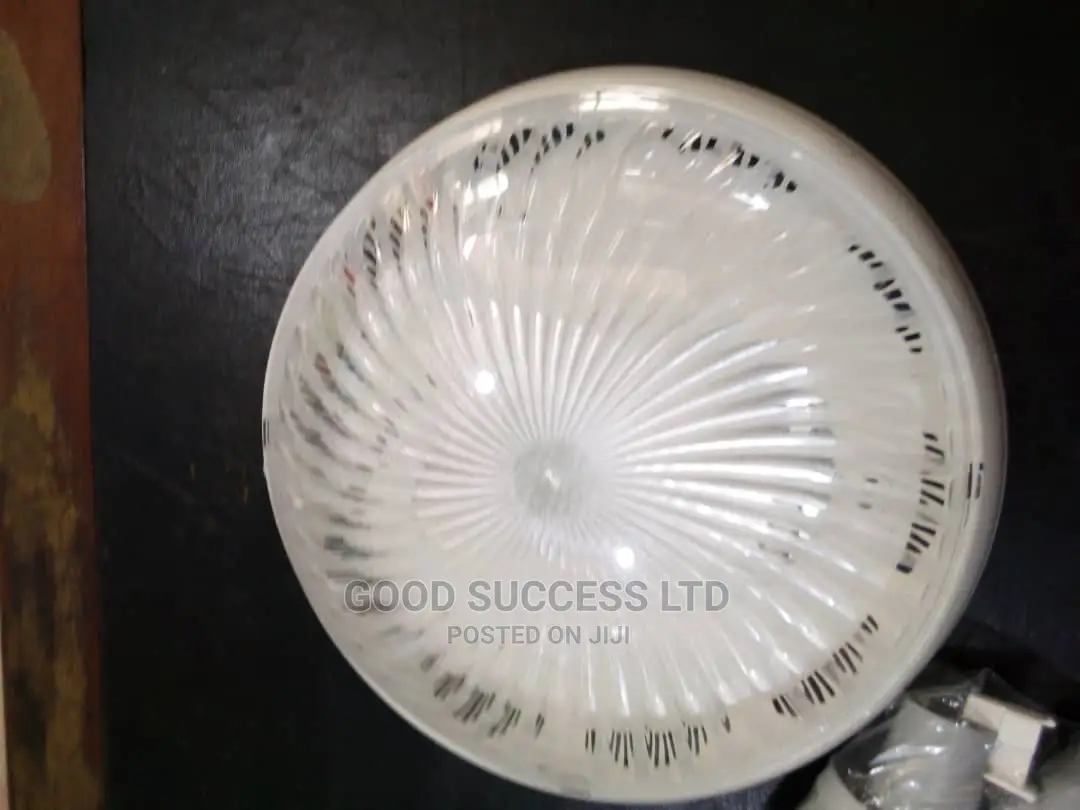 Plastic Globe Ceiling Light.