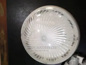 Plastic Globe Ceiling Light.