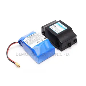 Hoverboard Batteries