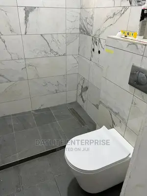 Hanging Wc For