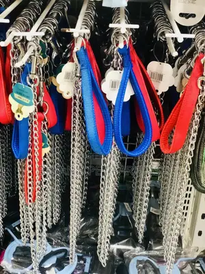 Dog Chain With Harness