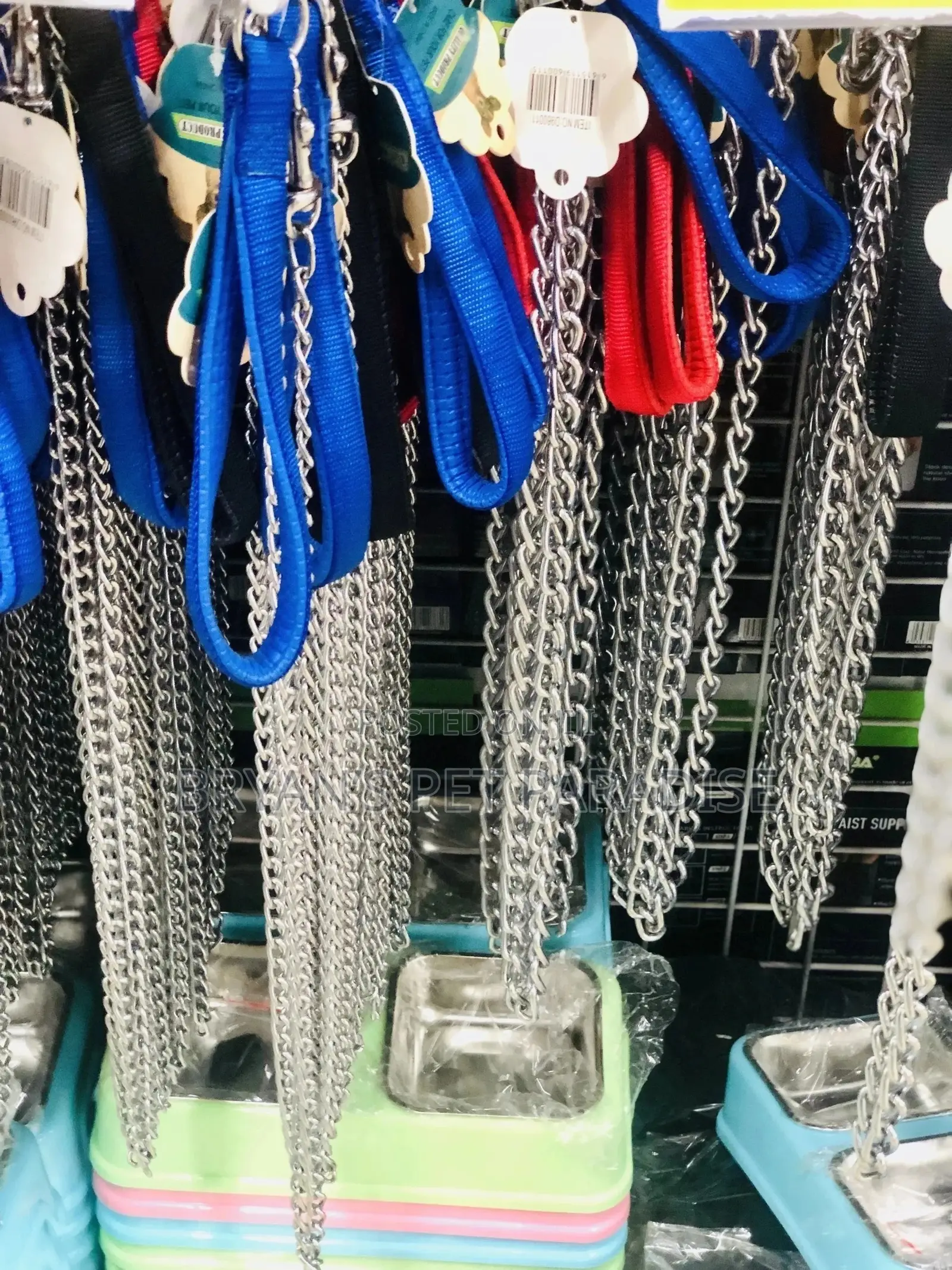 Dog Chain With Harness