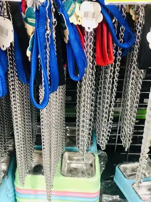 Dog Chain With Harness