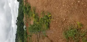 Half Plot of Land at Kumasi Santasi Darko