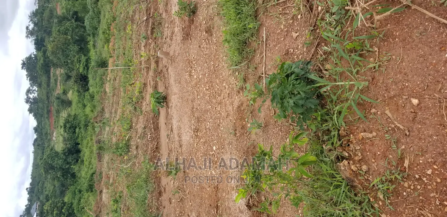 Half Plot of Land at Kumasi Santasi Darko
