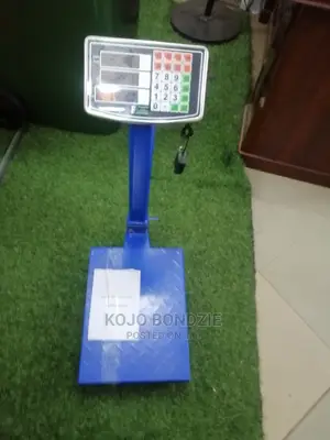 Industrial Electronic Scale
